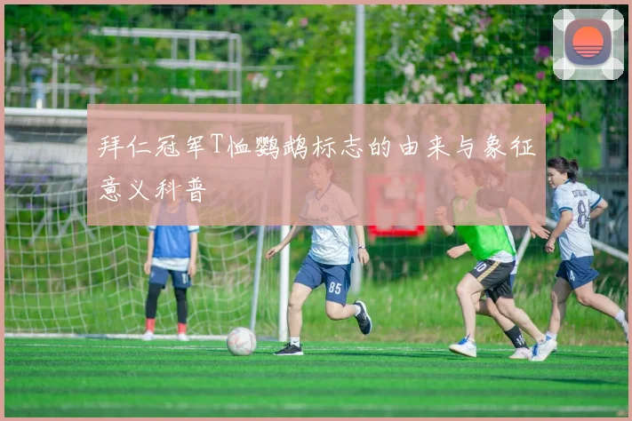 拜仁冠军T恤鹦鹉标志的由来与象征意义科普