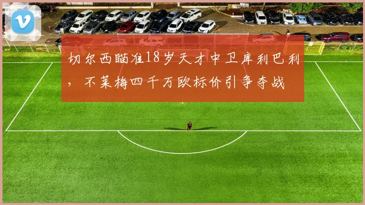 切尔西瞄准18岁天才中卫库利巴利，不莱梅四千万欧标价引争夺战